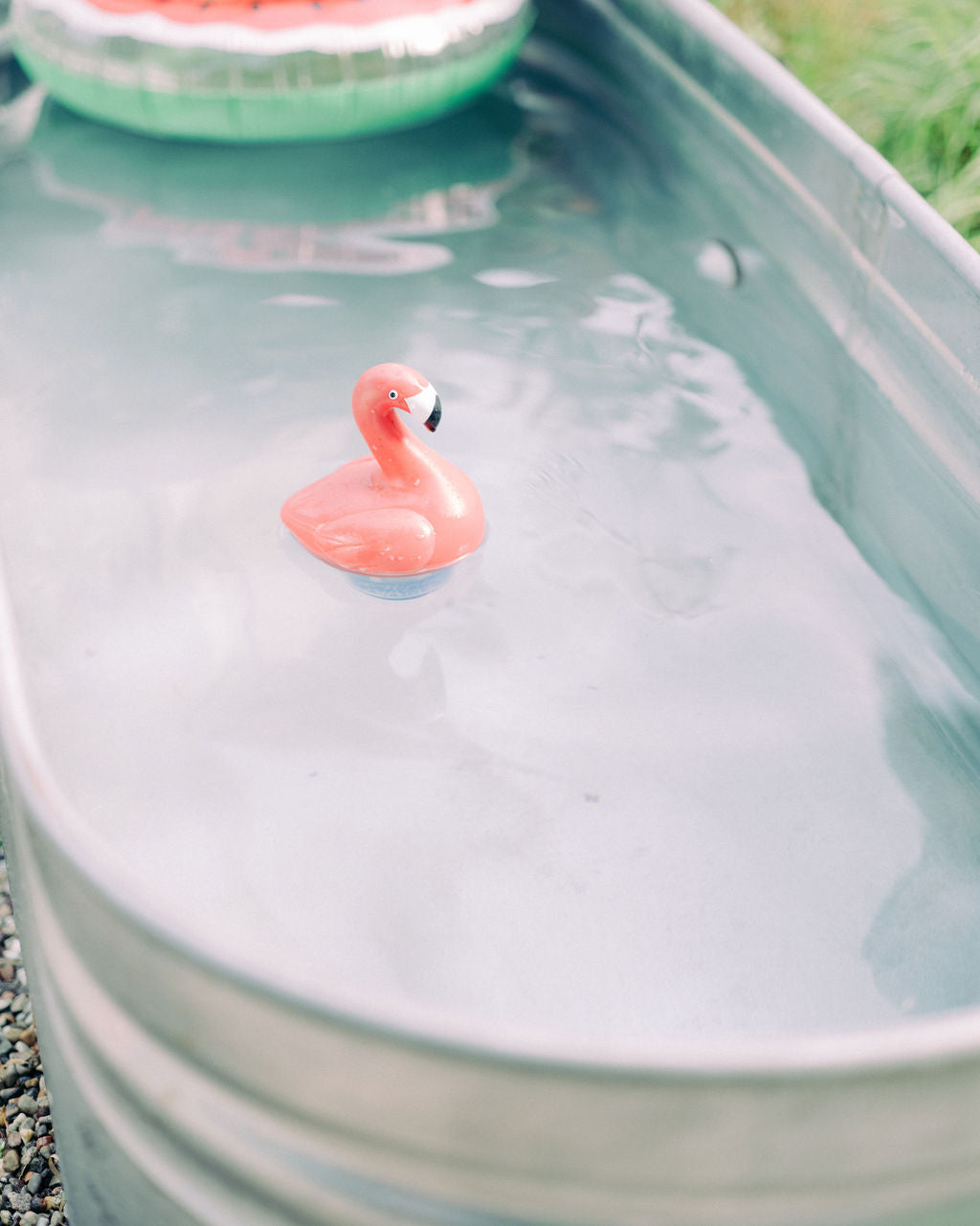 Service | Pool Cleaning (ONE TIME)